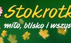 Promocje w sieci Stokrotka – gazetka 4.07-10.07