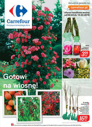 Promocje w markecie Carrefour – gazetka 2 marca - 14 marca 2016