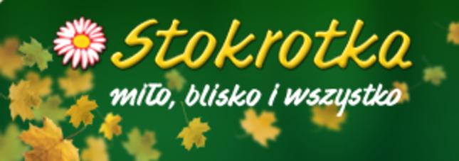 Promocje w Stokrotce – zobacz gazetkę 18.04 do 24.04