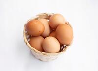 Sieci handlowe rezygnują ze sprzedaży jaj z chowu klatkowego