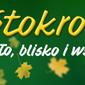 Promocje w sieci Stokrotka &ndash; gazetka 4.07-10.07